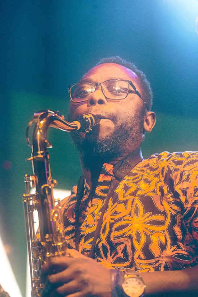 Yankari - The Button Factory